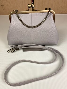 Gray Kiss Lock Crossbody Bag Vintage Style Frame Purse Chain Handle